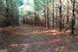 0 Burtons Ferry Highway - Photo 12