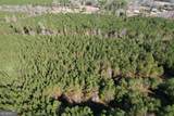 0 Burtons Ferry Highway - Photo 4