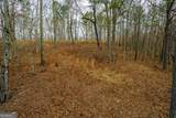 LOT 44 Bucktail Way - Photo 12