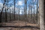 LOT 7R Mountain Falls Loop - Photo 8