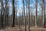 LOT 7R Mountain Falls Loop - Photo 9
