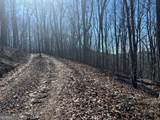 0 Wikle Road - Photo 19