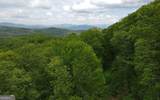 LOT 119 Croft Mtn Road - Photo 13