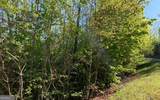 LOT 57 Fires Creek Cove - Photo 12