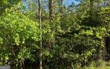 LOT 57 Fires Creek Cove - Photo 20