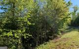 LOT 57 Fires Creek Cove - Photo 22