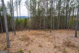 LOT 112 Blalock Mountain Road - Photo 22