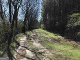 0 Covington Bridge Road - Photo 8