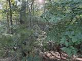 0 Fairmount Highway - Photo 14
