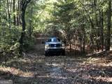 LOT 10 Triune Mill Road - Photo 12