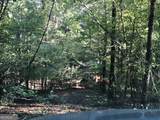 LOT 10 Triune Mill Road - Photo 13