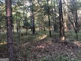 LOT 10 Triune Mill Road - Photo 23