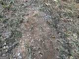 LOT 10 Triune Mill Road - Photo 26