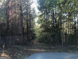 LOT 10 Triune Mill Road - Photo 6