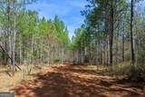 0 Shake Rag Road - Photo 10