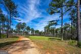 0 Shake Rag Road - Photo 4