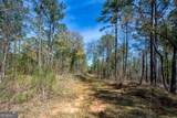 0 Shake Rag Road - Photo 6