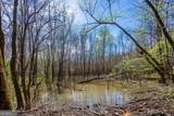 0 Shake Rag Road - Photo 7