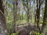 0 Old Griffin Road - Photo 14
