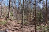 0 Blazing Star Road - Photo 10