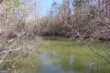 0 Blazing Star Road - Photo 14