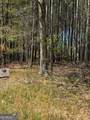 0 Etchison Spur - Photo 2