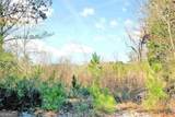 141 Bethlehem Church Road - Photo 1