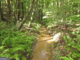 0 Bear Creek Road - Photo 19