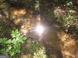 0 Bear Creek Road - Photo 20
