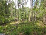 0 Bear Creek Road - Photo 25