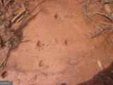 0 Bear Creek Road - Photo 28