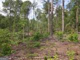 0 Bear Creek Road - Photo 29