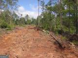 0 Bear Creek Road - Photo 30