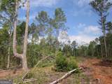 0 Bear Creek Road - Photo 32