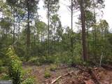0 Bear Creek Road - Photo 33