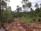 0 Bear Creek Road - Photo 34