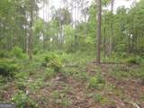 0 Bear Creek Road - Photo 41