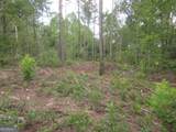 0 Bear Creek Road - Photo 47