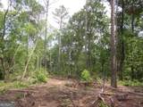 0 Bear Creek Road - Photo 51