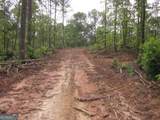 0 Bear Creek Road - Photo 62
