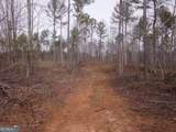 0 Bear Creek Road - Photo 69
