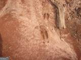 0 Bear Creek Road - Photo 8