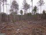 0 Bear Creek Road - Photo 89