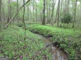 0 Bear Creek Road - Photo 9