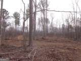 0 Bear Creek Road - Photo 92