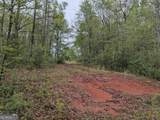 0 Fischer Spur Road - Photo 3