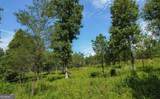 LT 26 Arbor Creek Trail - Photo 10