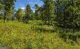 LT 26 Arbor Creek Trail - Photo 7