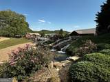 212 Golden Nugget Road - Photo 20