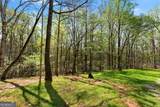 3050 Burt Creek Road - Photo 47